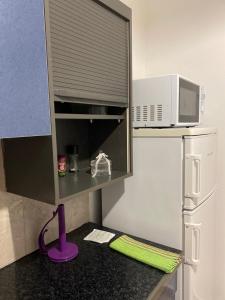 Kuchyň nebo kuchyňský kout v ubytování Nefeli Β1 apartment