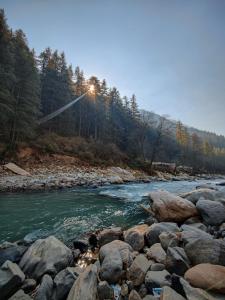 a river with rocks in front of a forest at Pandora Riverside Cafe & Stay in Kasol