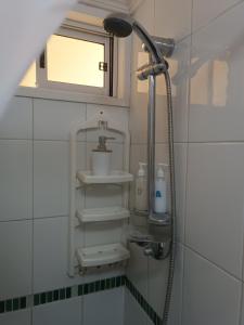 ein Bad mit einer Dusche, einem Waschbecken und einem Spiegel in der Unterkunft Anyrcoy in Viña del Mar