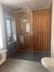 a bathroom with a toilet and a wooden wall at Elbinger Str. 28 in Hildesheim