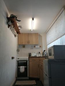 a small kitchen with wooden cabinets and a stove at 2 Rhys Terrace in Machynlleth