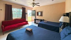 Posezení v ubytování Casa Daniels Guesthouse