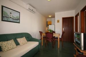 TV a/nebo společenská místnost v ubytování Apartment Ruzmarin