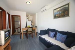 TV a/nebo společenská místnost v ubytování Apartment Ruzmarin