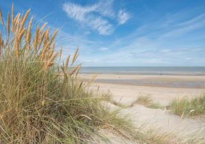 einen Sandstrand mit Meerblick in der Unterkunft Salty - Vakantiehuisje op de grens van Bredene-De Haan in Bredene