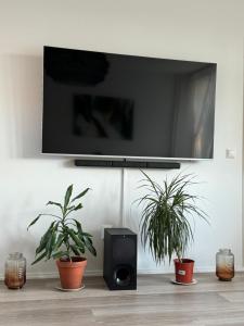 TV a/nebo společenská místnost v ubytování Cosy and elegant flat