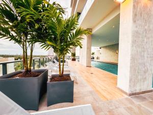 two palm trees in pots on the floor of a building at Smart Brickell Hotel in Miami