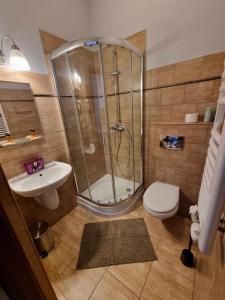a bathroom with a shower and a toilet and a sink at TatroManiac Zakopane Pokoje in Zakopane