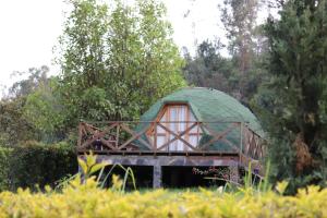 Zahrada ubytování Glamping/BBQ Susa Cun