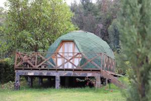 una casa con cúpula verde en un campo con árboles en Glamping/BBQ Susa Cun, en Susa