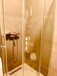 eine Duschkabine mit WC im Bad in der Unterkunft Spacious apartment next to Royall Mall on B Street in Pristina