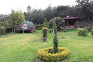Zahrada ubytování Glamping/BBQ Susa Cun