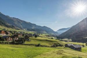 een groene vallei met een dorp in de bergen bij Unterkunft CASA LA RODA NR 5 URSIN in Sedrun