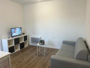 a living room with a couch and a tv at superbe studio meublé avec parking in Maubeuge