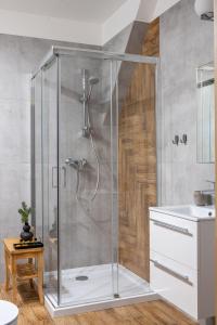 una ducha con mampara de cristal en un baño en Ornak 7, en Zakopane
