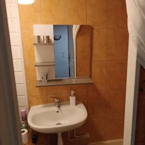 a bathroom with a sink and a mirror at l'HYPERCENTRE in Clermont-Ferrand