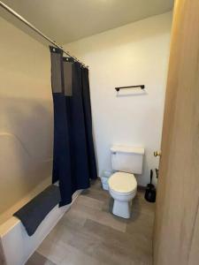 een badkamer met een toilet en een blauw douchegordijn bij Unit 8 - Stand Rock Studios in Wisconsin Dells