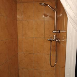 łazienka z prysznicem z głowicą prysznicową w obiekcie L'HYPERCENTRE Bis w mieście Clermont-Ferrand