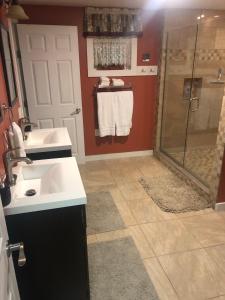 uma casa de banho com um lavatório e um chuveiro em Plush garden level apartment near Stowe em Morristown