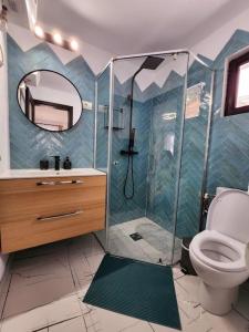 een badkamer met een douche, een toilet en een spiegel bij Cozy house Elena in Drăgoiasa