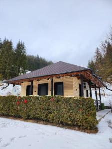 a wooden house with a roof in the snow at Cozy house Elena in Drăgoiasa