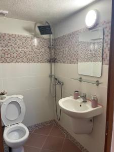 アスプロヴァルタにあるKLetnikoviのバスルーム(トイレ、洗面台、鏡付)