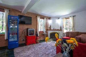 uma sala de estar com lareira e televisão em Pousada Suiça Mineira Garden em Monte Verde