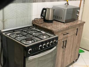 a kitchen with a stove and a microwave at Zamalek Garden villa-Abu El Feda in Cairo