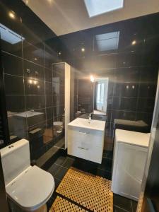 ein Badezimmer mit einem WC, einem Waschbecken und einem Spiegel in der Unterkunft Très beau 2 pièces à 400m de Paris in Gentilly