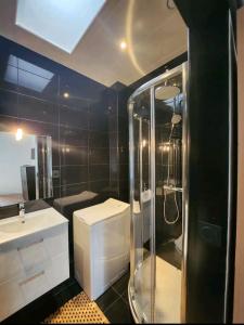 un baño con ducha y lavabo en Très beau 2 pièces à 400m de Paris, en Gentilly