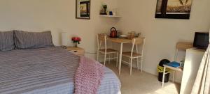 1 dormitorio con cama, mesa y escritorio en 15 On Wards en Greytown