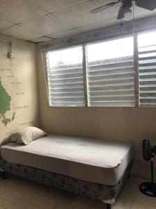 Bett in einem Zimmer mit Fenster in der Unterkunft The Green House in Bocas del Toro