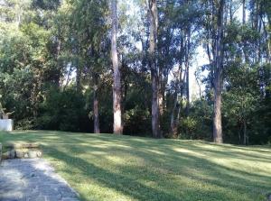 un grand champ d'herbe planté d'arbres en arrière-plan dans l'établissement Habitación payesa en el bosque, La Barra, à Barra de Maldonado