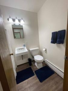 a bathroom with a white toilet and a sink at Liberty Valley Short Term Rental - 27 in Madison