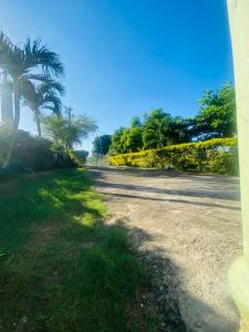 an empty road with palm trees on the side at Cindy's Garden Stay in Ocho Rios