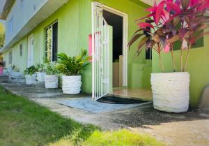 a green building with potted plants in front of a door at Cindy's Garden Stay in Ocho Rios
