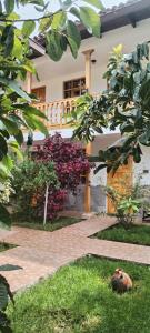 Jardín al aire libre en Hotel Casablanca