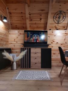 Televisi dan/atau pusat hiburan di Snowflake