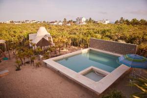 - une piscine avec un parasol à côté d'un champ dans l'établissement Villa Los Nonos, à Mérida