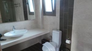 a bathroom with a sink and a toilet and a mirror at Niovi Boutique Apartments in Afitos