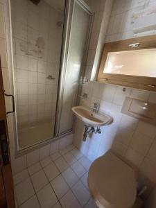 a bathroom with a toilet and a shower and a sink at Chalet familial in Grimentz