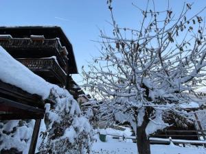 a tree covered in snow next to a house at Chalet familial in Grimentz