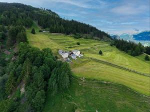 an aerial view of a farm on a hill with trees at Monte Campell Dasura in Poschiavo