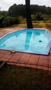 une piscine bleue avec un arbre en arrière-plan dans l'établissement Altamira 1, à Punta del Este 9 autres photos