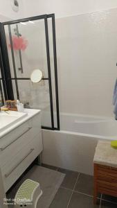 a bathroom with a shower and a sink and a toilet at Appartement avec terrasse in Saint-Denis