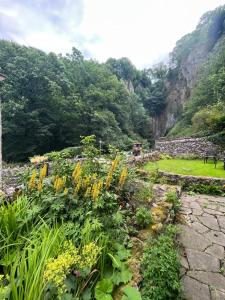 einen Garten mit gelben Blumen und einer Steinmauer in der Unterkunft Torside Holiday Cottage in Castleton