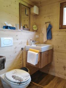 La salle de bains en bois est pourvue de toilettes et d'un lavabo. dans l'établissement Tinyhouse Momente Chalet als Rückzugsort für Naturliebhaber im Oberallgäu, à Wertach