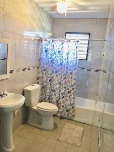 La salle de bains est pourvue de toilettes, d'une douche et d'un lavabo. dans l'établissement Caribbean Sunshine Villa, à Aguadilla