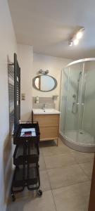 a bathroom with a shower and a sink and a mirror at Apartamenty na Poludniowym Stoku in Wierchomla Mała