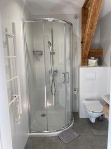 eine Duschkabine im Bad mit WC in der Unterkunft Agroturystyka Bobrowniki in Szczytna